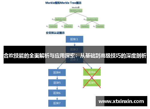 合欢技能的全面解析与应用探索：从基础到高级技巧的深度剖析